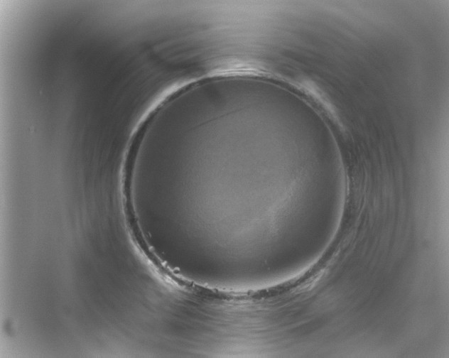 X0000076331422200609291108