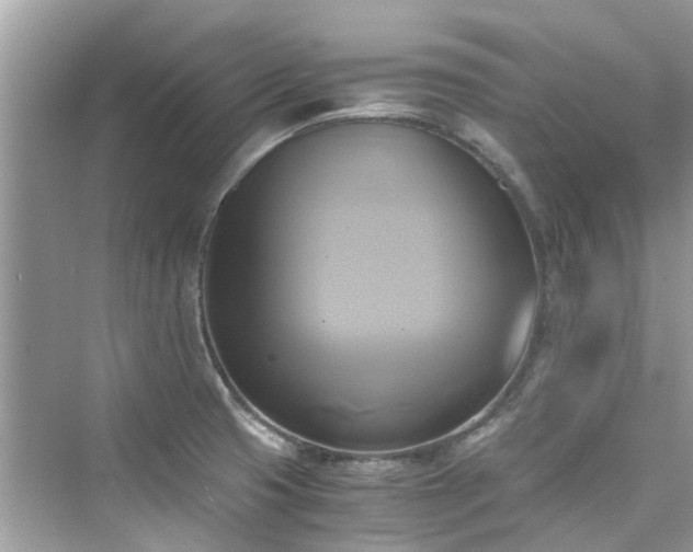 X0000076331425200609291108