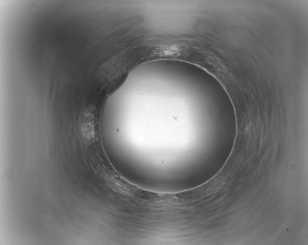 X0000076331442200609291108