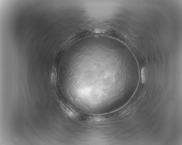 X0000076331443200609291108