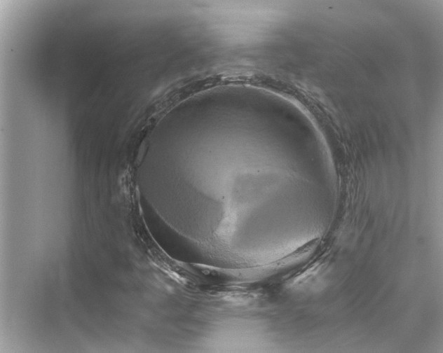 X0000076331445200609291108