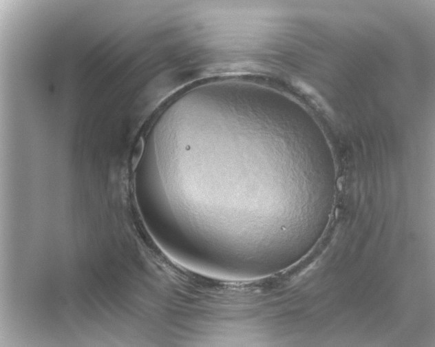 X0000076331457200609291107