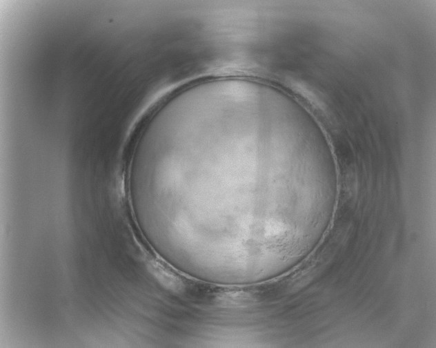 X0000076331462200609291107