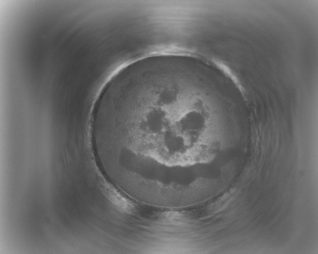 X0000076331463200609291107