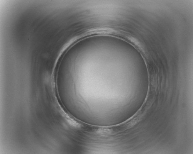 X0000076331466200609291107