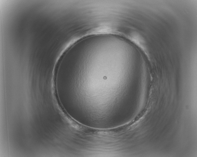 X0000076331469200609291107