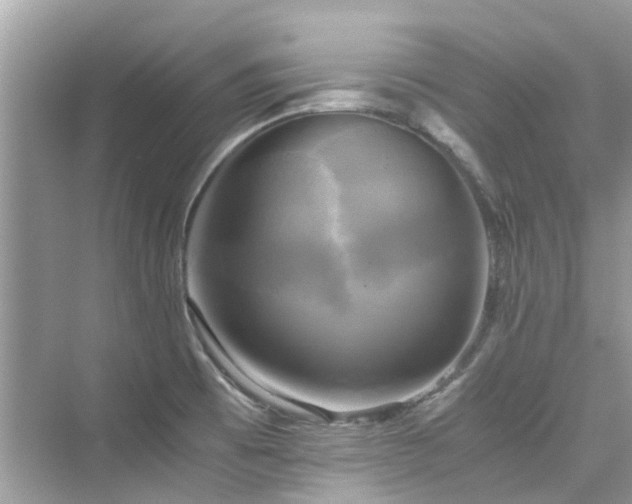 X0000076331473200609291107