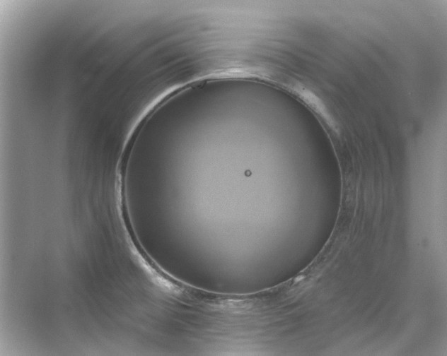 X0000076331476200609291107