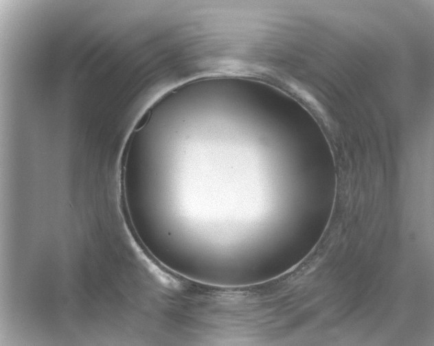 X0000076331479200609291107