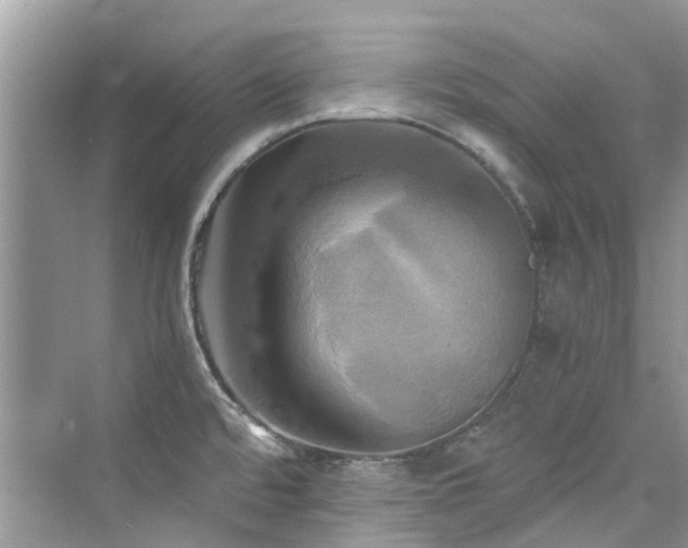 X0000076331480200609291107