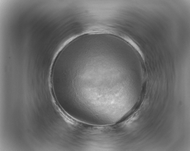 X0000076331485200609291107