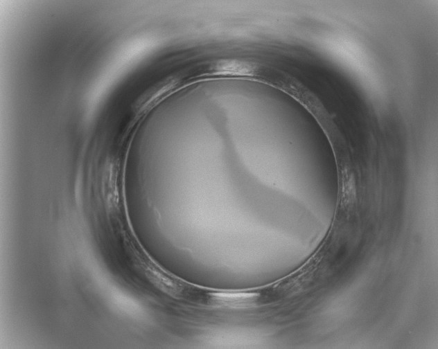 X0000076331487200609291107