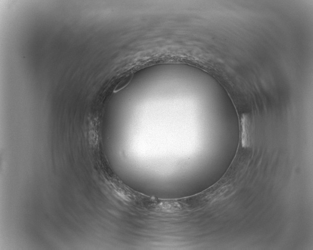 X0000076331491200609291106