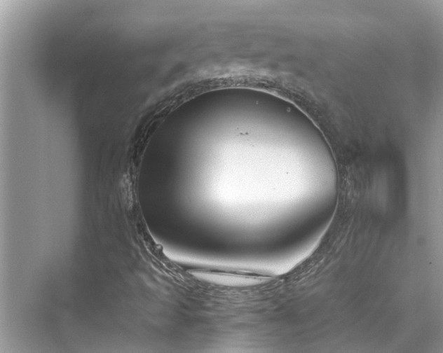 X0000076331493200609291106
