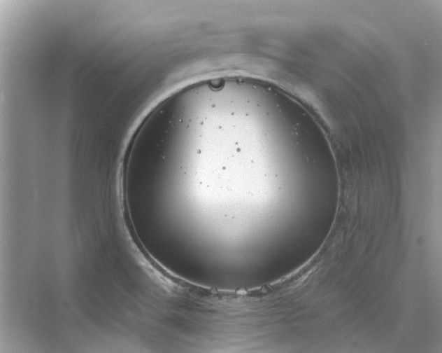 X0000076331516200609291107