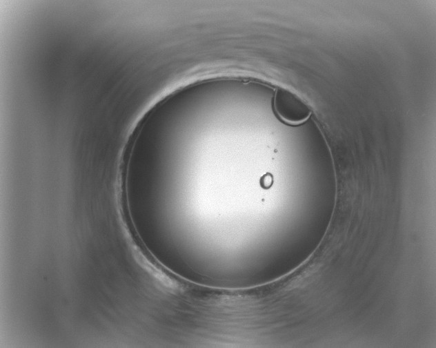 X0000076331518200609291107