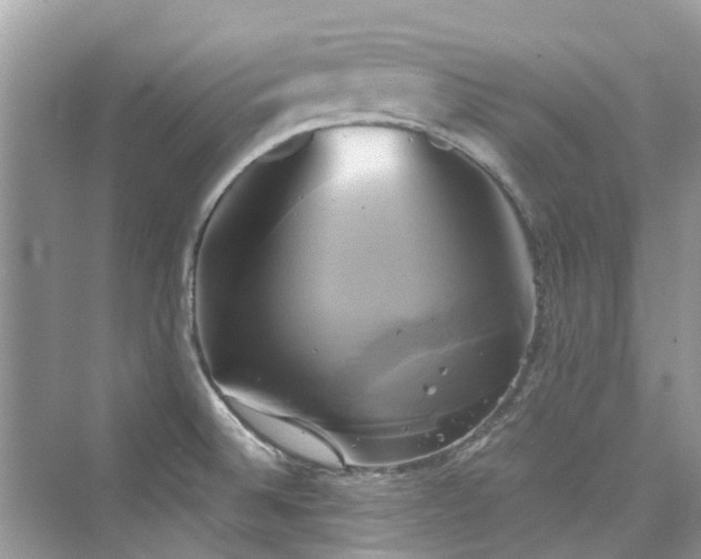 X0000076331524200609291107