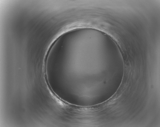 X0000076331527200609291107