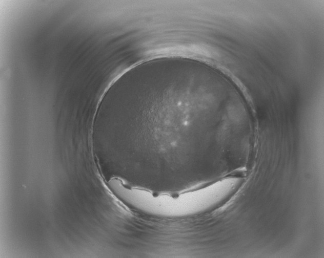 X0000076331529200609291107