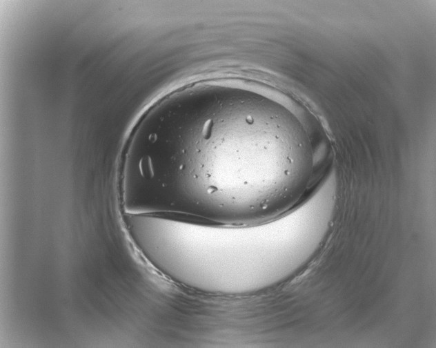 X0000076331530200609291107