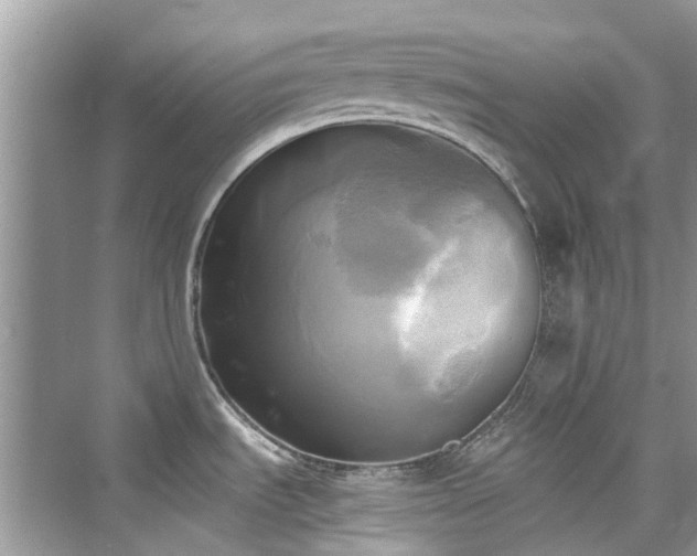 X0000076331535200609291107