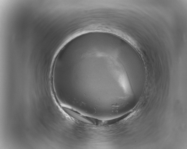 X0000076331536200609291107