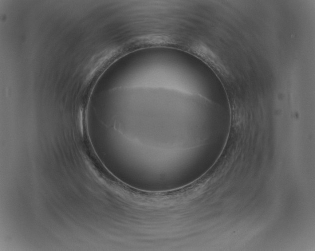 X0000076330014200610061447