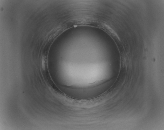X0000076330026200610061447