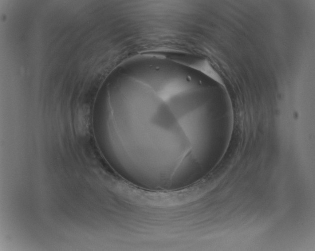 X0000076330030200610061447