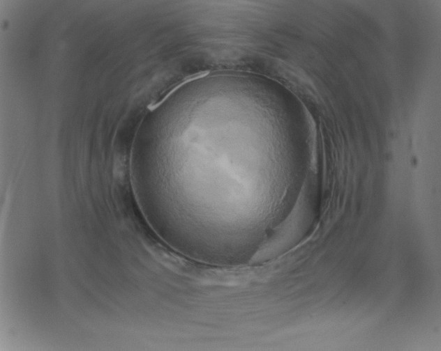 X0000076330033200610061447