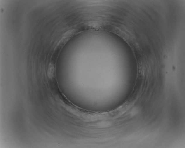 X0000076330036200610061447