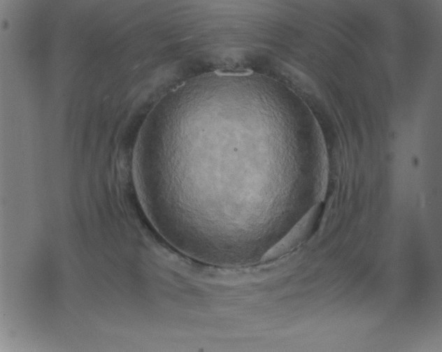 X0000076330037200610061447