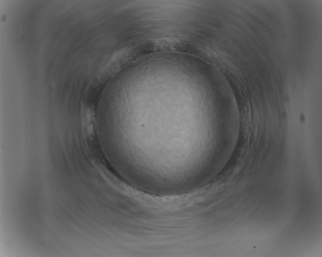 X0000076330038200610061447