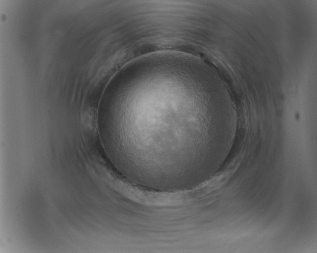 X0000076330044200610061446