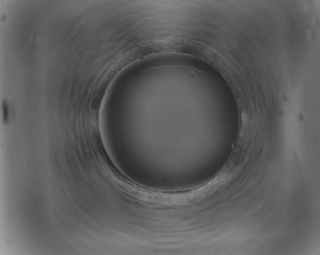 X0000076330048200610061446