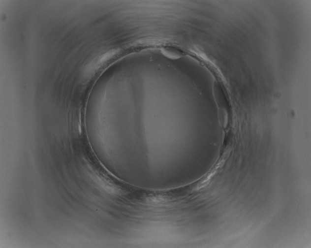 X0000076330062200610061446