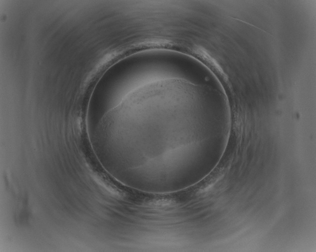 X0000076330063200610061446