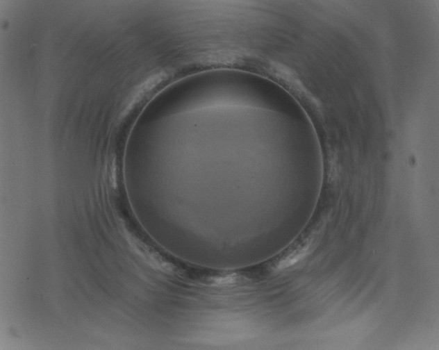 X0000076330068200610061446
