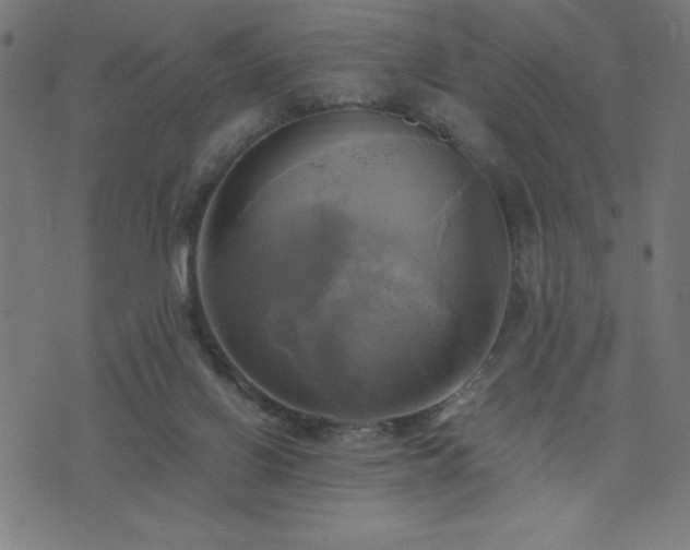 X0000076330070200610061446
