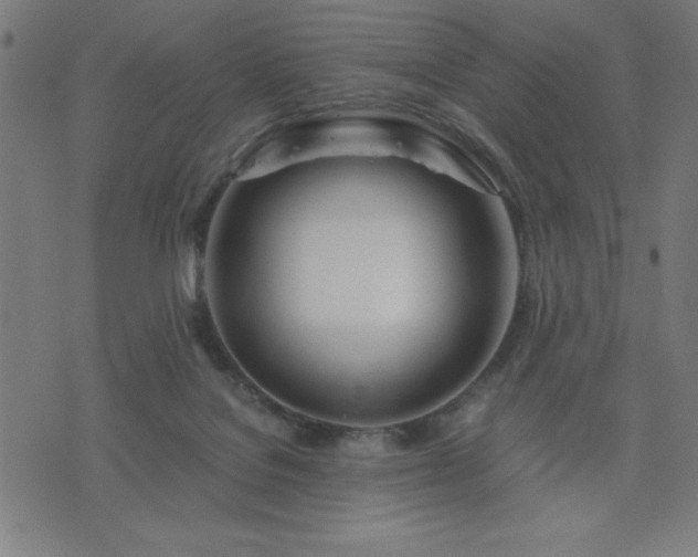X0000076330076200610061446