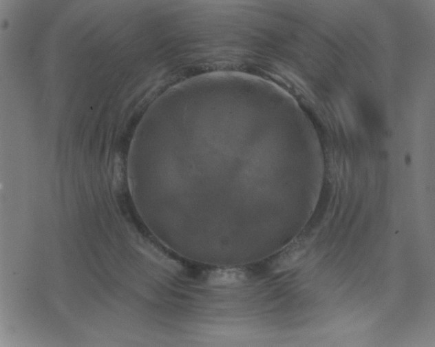 X0000076330077200610061446