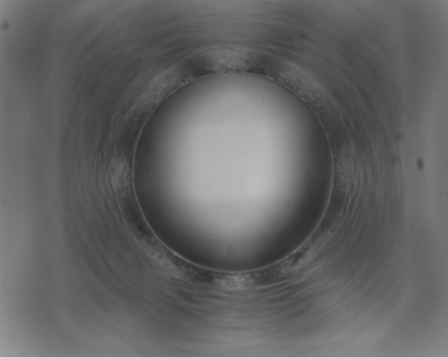 X0000076330079200610061446