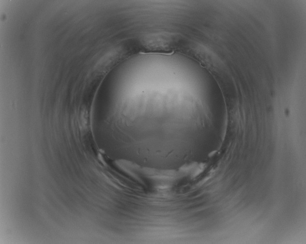 X0000076330081200610061446