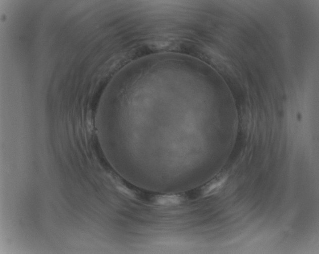 X0000076330085200610061446