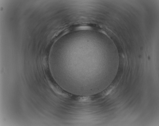 X0000076330088200610061446