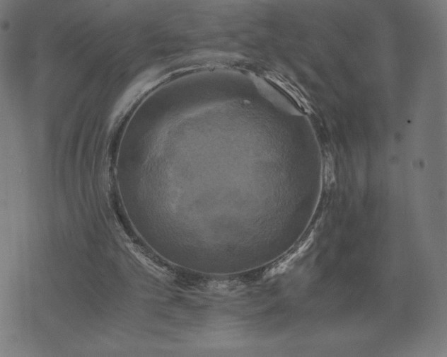 X0000076330101200610061446