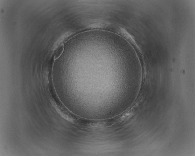 X0000076330106200610061445