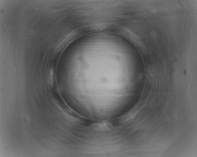 X0000076330118200610061445