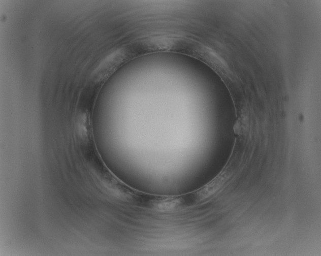 X0000076330122200610061445