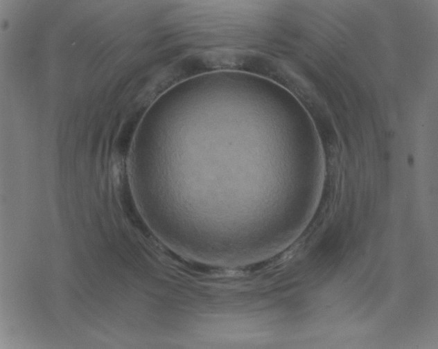 X0000076330125200610061445